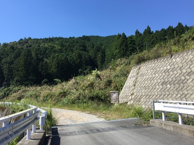 f0308898_817443.jpg
