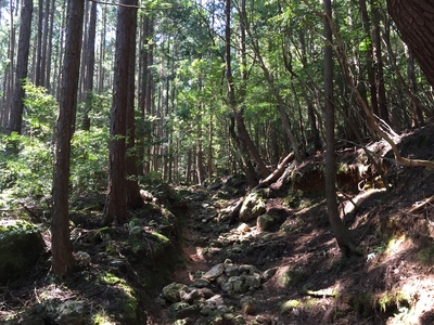 f0308898_8531091.jpg