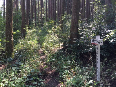 f0308898_8584965.jpg