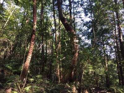 f0308898_93336.jpg