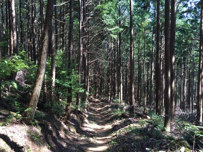 f0308898_945155.jpg