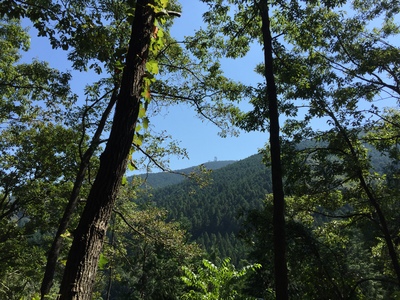 f0308898_95593.jpg