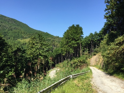 f0308898_961352.jpg