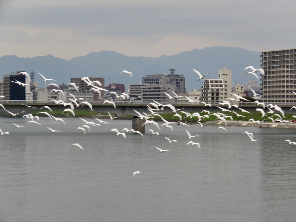 c0049299_22262054.jpg