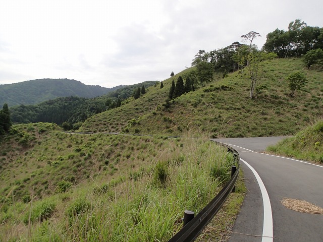 f0233103_1031779.jpg