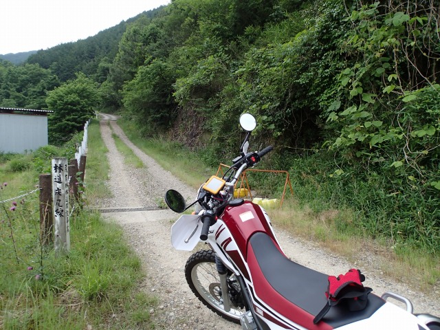 f0233103_10474223.jpg