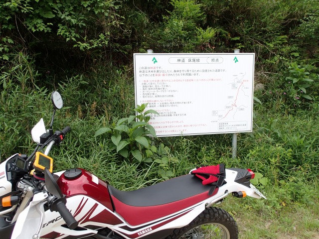f0233103_1122510.jpg