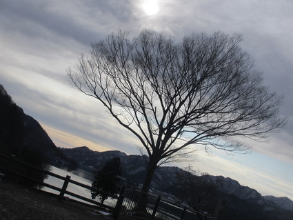 c0212604_2295416.jpg