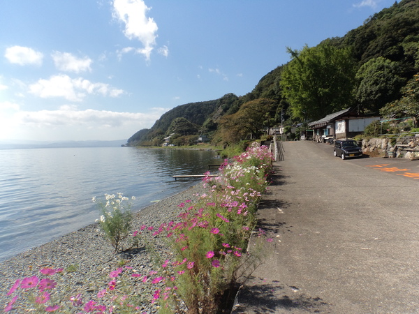 琵琶湖湖北サイクリング (Tern Link P24h )_c0266004_23432231.jpg