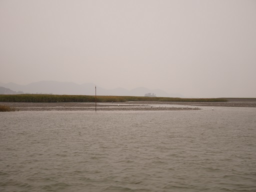 a0140305_1271170.jpg