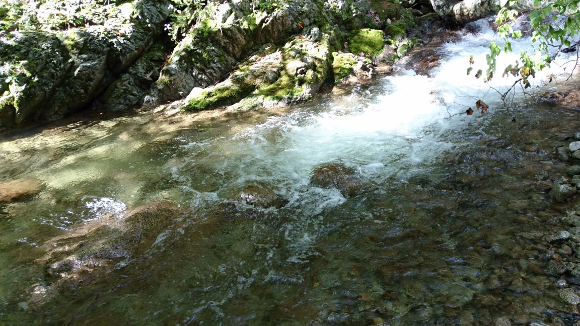 b0172805_2105199.jpg