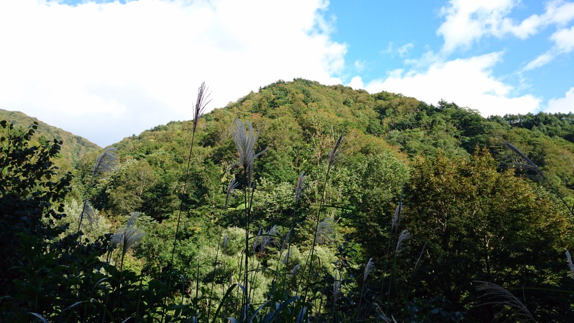 b0172805_215438.jpg