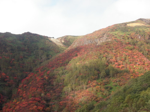 d0342206_20035639.jpg