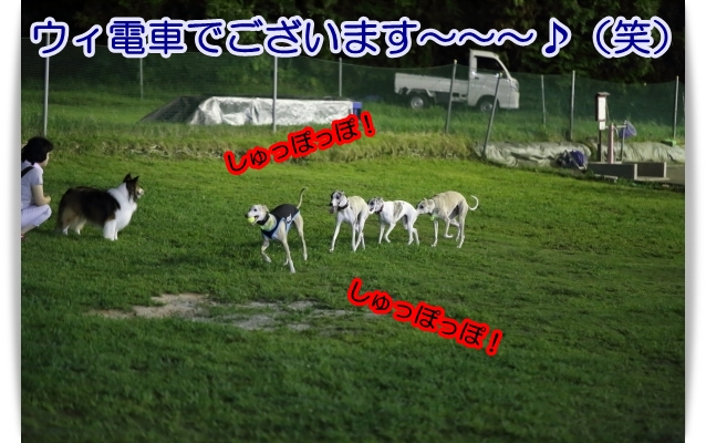 e0100007_20133337.jpg