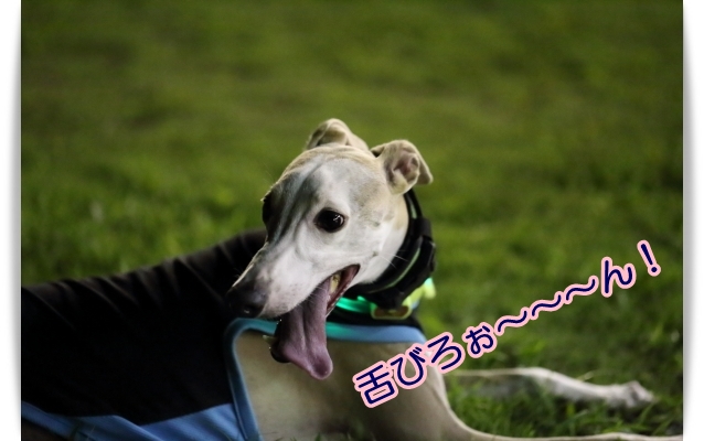 e0100007_20134433.jpg