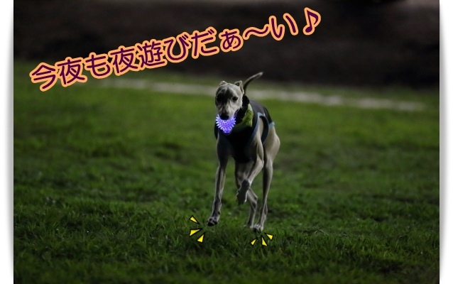 e0100007_2013598.jpg