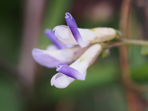 e0293913_223177.jpg