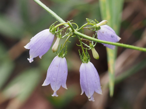 e0293913_2245380.jpg