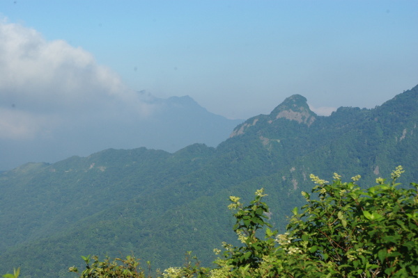 d0341514_21584499.jpg