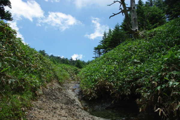 d0341514_22361846.jpg