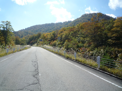 c0189218_1714309.jpg