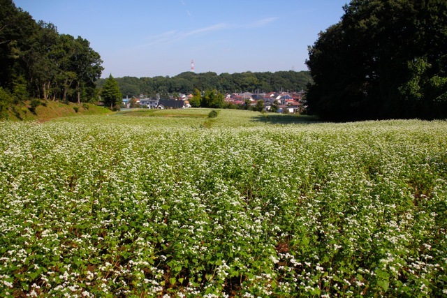 f0348831_07212287.jpg
