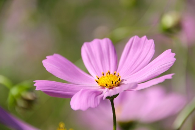 f0348831_07252843.jpg