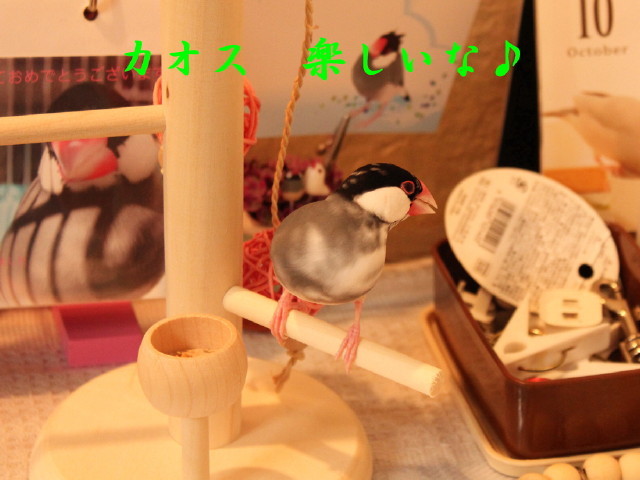 c0365734_22501892.jpg