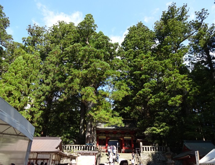 シルバーウイークは日光へGO♪　日光東照宮、二荒神社_c0071545_22491634.jpg