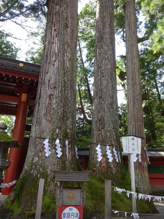 シルバーウイークは日光へGO♪　日光東照宮、二荒神社_c0071545_23083885.jpg