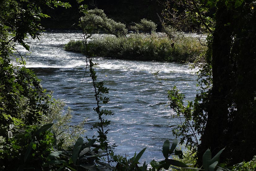 お気に入りの風景_d0072855_21192490.jpg