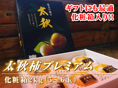 太秋柿 選び抜かれた匠の「太秋柿」本日初出荷しました!!_a0254656_197643.jpg