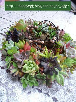 １１月のワークショップ「多肉のリース」_b0206059_17022789.jpg