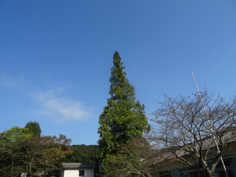c0108460_20424296.jpg