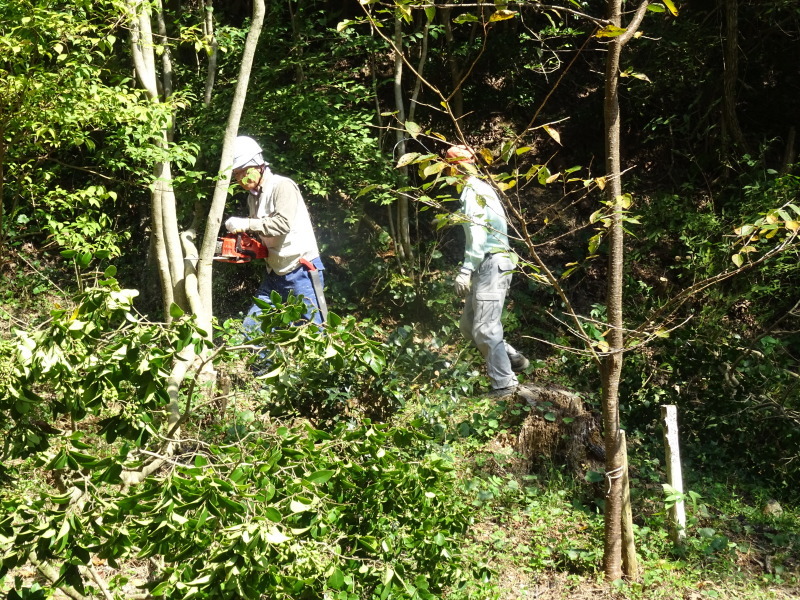 c0108460_20440235.jpg