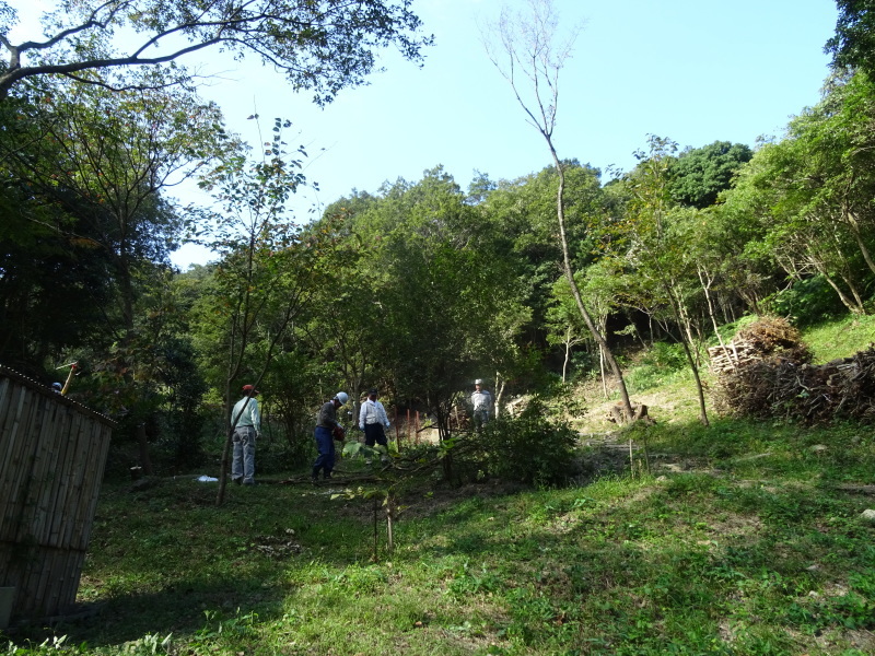 c0108460_20571659.jpg