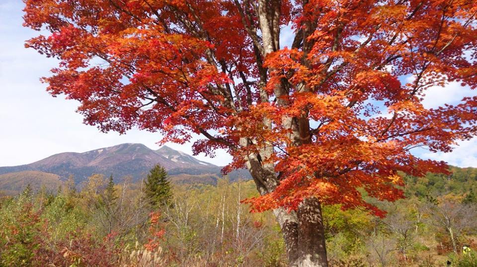 秋の紅葉先撮りツアー_b0154362_00382378.jpg