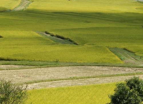 e0345868_22284167.jpg
