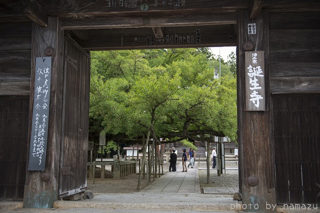 岡山（誕生寺）_b0280176_12665.jpg