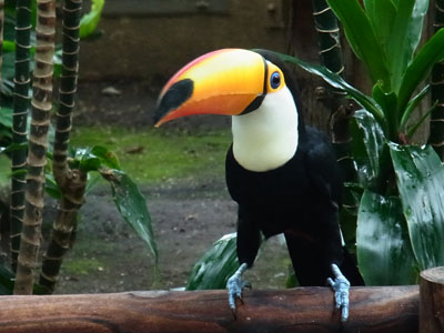 f0083977_6365840.jpg