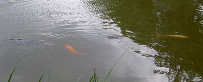 日なたの匂い_e0140482_21114099.jpg