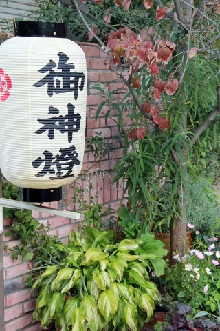 e0154682_17451541.jpg