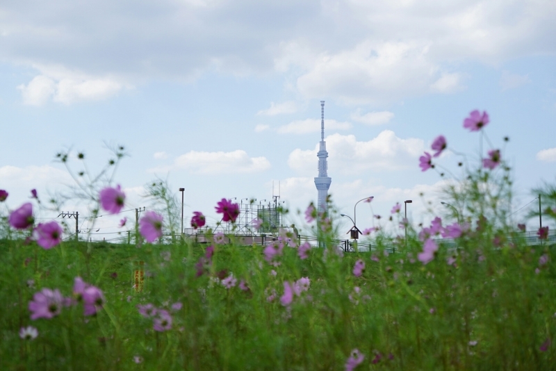d0341483_19554080.jpg