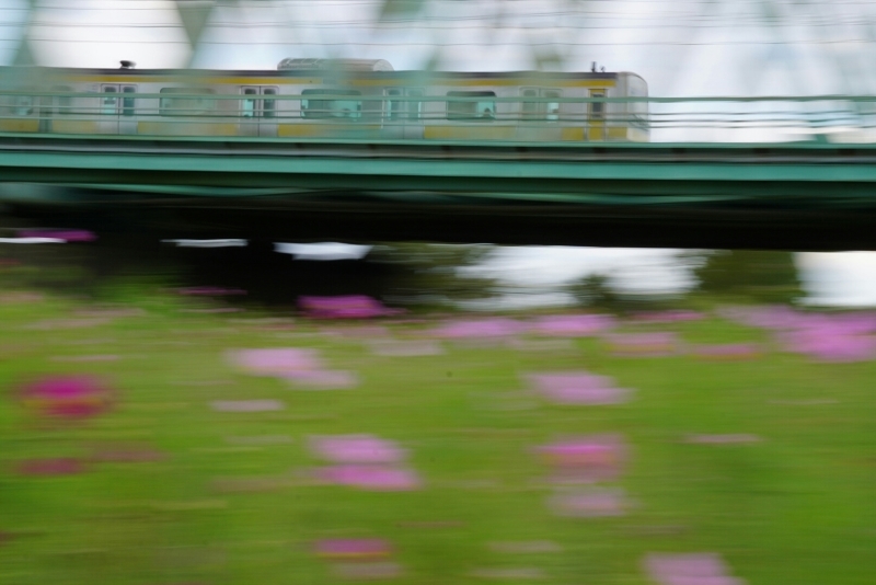 d0341483_20030693.jpg