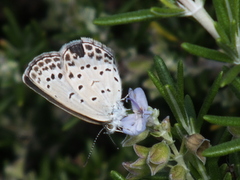 b0192588_9411217.jpg