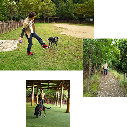 d0282395_2031621.png