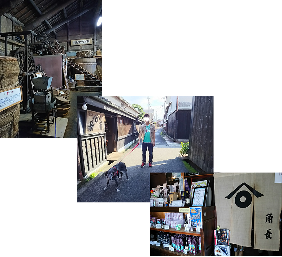 d0282395_2116574.png