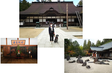 d0282395_21402149.png