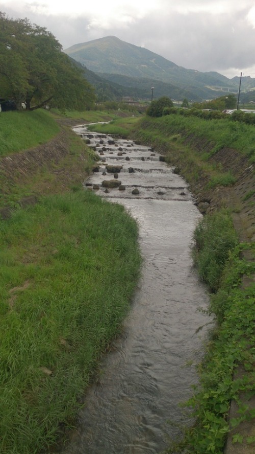 e0086798_284678.jpg