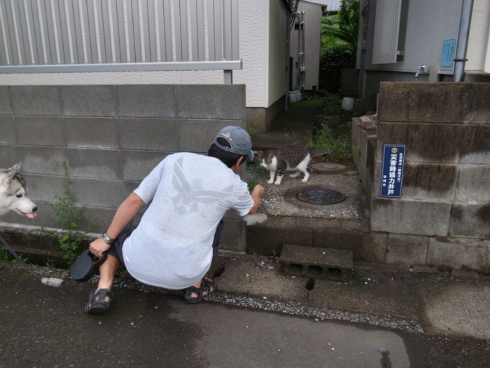 c0049299_21541313.jpg